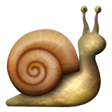 Snail with shell