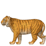 Tiger with full body
