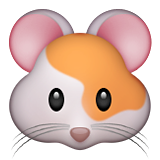 Hamster face