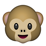 Monkey face with smile