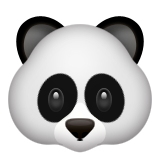Panda Bear face