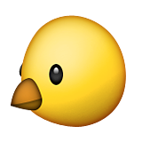 Chick face