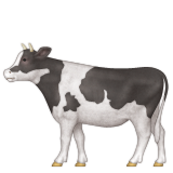 Cow with full body