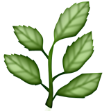 Plant with five leaves