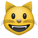 Smiling cat